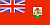 Bermuda Global Medical Tenders