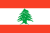 Lebanon Global Medical Tenders