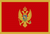 Montenegro Global Medical Tenders
